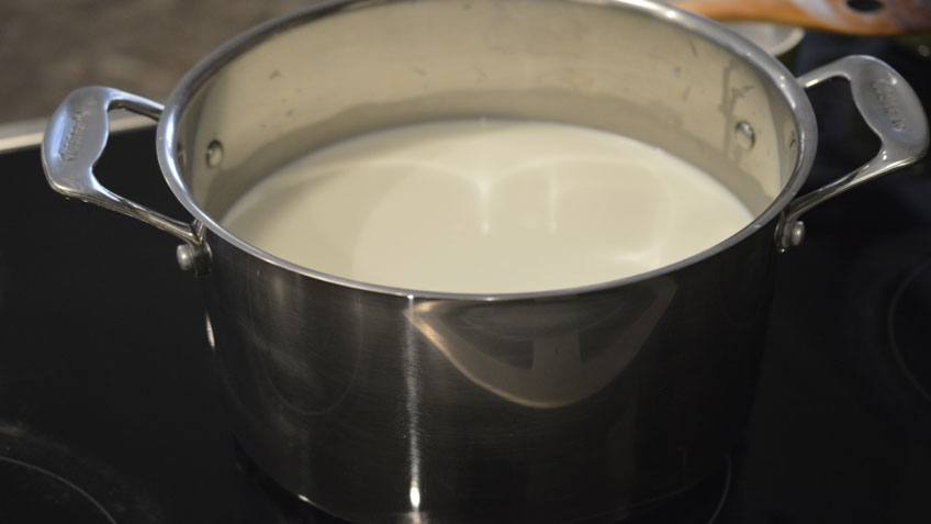 Homemade Mozzarella