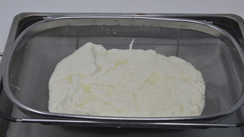 Homemade Mozzarella