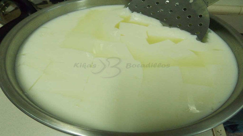 Homemade Mozzarella