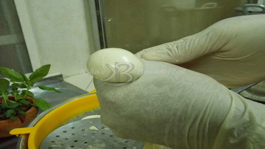 Homemade Mozzarella